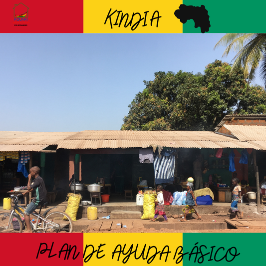 Plan de ayuda básico Kounki "Kindia"
